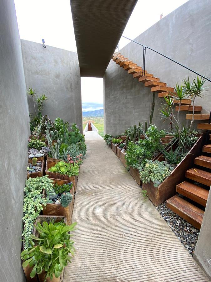 Bed and Breakfast Santulan Valle de Guadalupe Exteriér fotografie