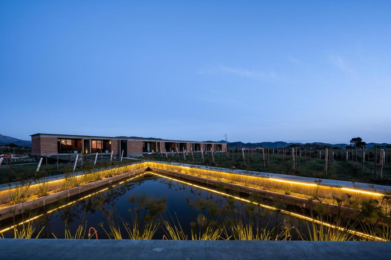 Bed and Breakfast Santulan Valle de Guadalupe Exteriér fotografie