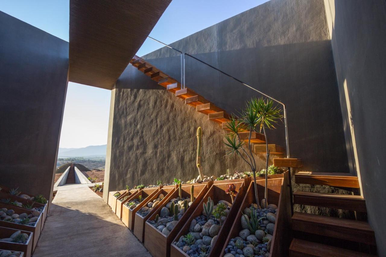 Bed and Breakfast Santulan Valle de Guadalupe Exteriér fotografie
